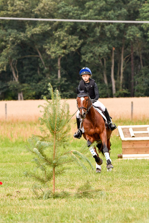 Goldene Schärpe Ponys in Hohenberg Krusemark 2024 | 13072024 Gelände 1 Abt_559 