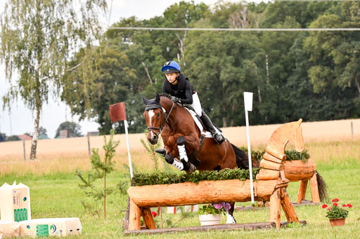 Goldene Schärpe Ponys in Hohenberg Krusemark 2024 | 13072024 Gelände 1 Abt_560 