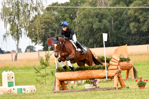Goldene Schärpe Ponys in Hohenberg Krusemark 2024 | 13072024 Gelände 1 Abt_561 
