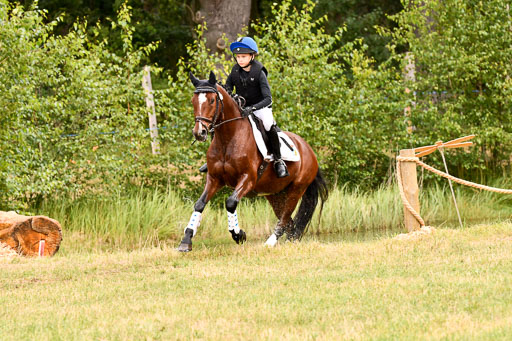 Goldene Schärpe Ponys in Hohenberg Krusemark 2024 | 13072024 Gelände 1 Abt_562 