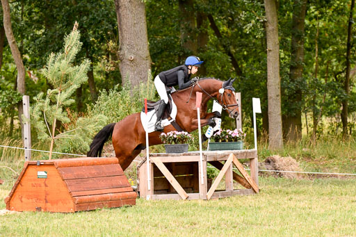 Goldene Schärpe Ponys in Hohenberg Krusemark 2024 | 13072024 Gelände 1 Abt_565 