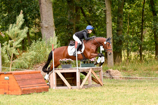 Goldene Schärpe Ponys in Hohenberg Krusemark 2024 | 13072024 Gelände 1 Abt_566 