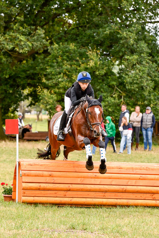 Goldene Schärpe Ponys in Hohenberg Krusemark 2024 | 13072024 Gelände 1 Abt_568 