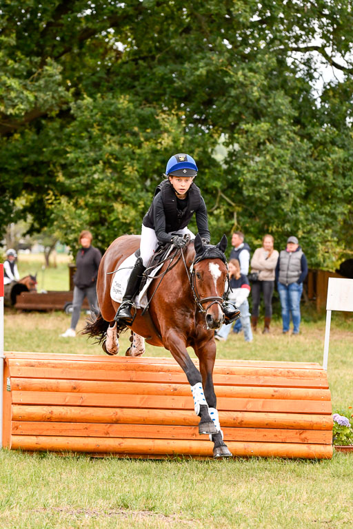 Goldene Schärpe Ponys in Hohenberg Krusemark 2024 | 13072024 Gelände 1 Abt_569 