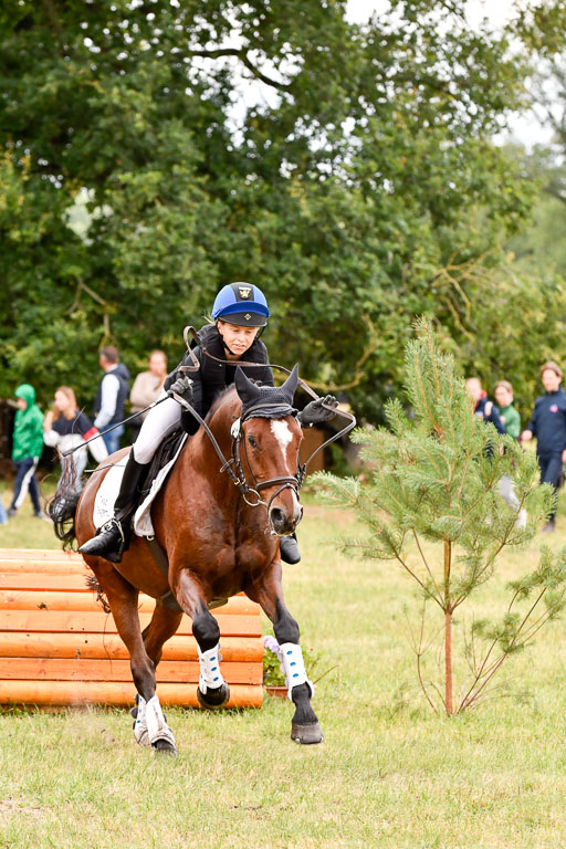 Goldene Schärpe Ponys in Hohenberg Krusemark 2024 | 13072024 Gelände 1 Abt_570 