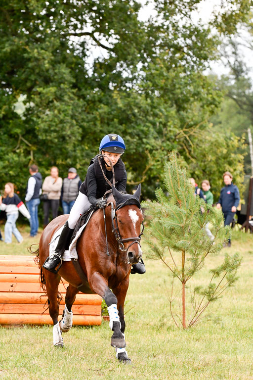 Goldene Schärpe Ponys in Hohenberg Krusemark 2024 | 13072024 Gelände 1 Abt_571 