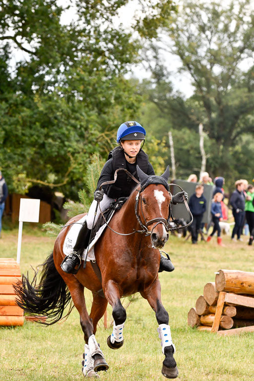 Goldene Schärpe Ponys in Hohenberg Krusemark 2024 | 13072024 Gelände 1 Abt_572 