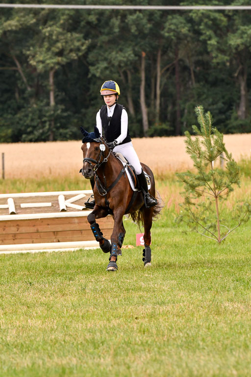 Goldene Schärpe Ponys in Hohenberg Krusemark 2024 | 13072024 Gelände 1 Abt_577 