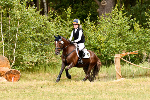 Goldene Schärpe Ponys in Hohenberg Krusemark 2024 | 13072024 Gelände 1 Abt_581 