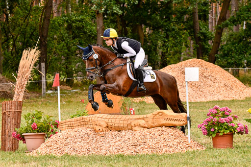Goldene Schärpe Ponys in Hohenberg Krusemark 2024 | 13072024 Gelände 1 Abt_583 