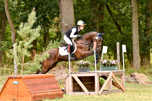 Goldene Schärpe Ponys in Hohenberg Krusemark 2024 | 13072024 Gelände 1 Abt_584 