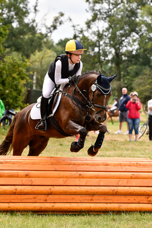 Goldene Schärpe Ponys in Hohenberg Krusemark 2024 | 13072024 Gelände 1 Abt_586 