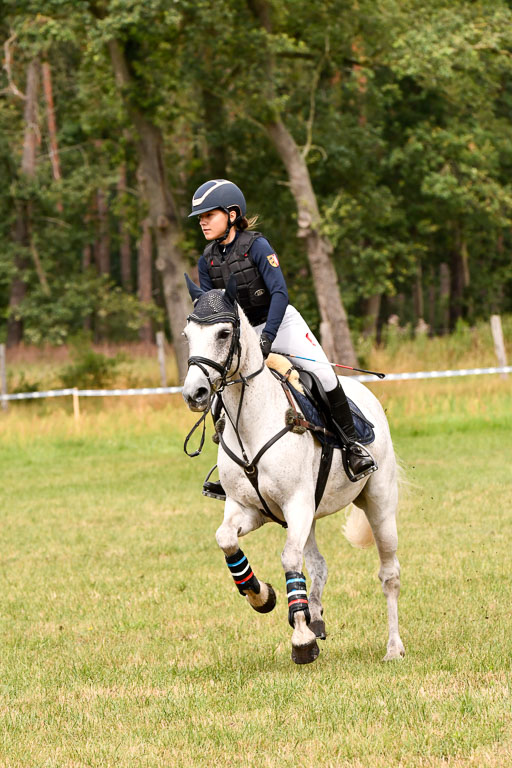 Goldene Schärpe Ponys in Hohenberg Krusemark 2024 | 13072024 Gelände 1 Abt_587 