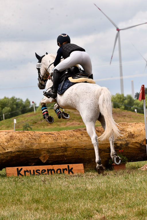 Goldene Schärpe Ponys in Hohenberg Krusemark 2024 | 13072024 Gelände 1 Abt_588 