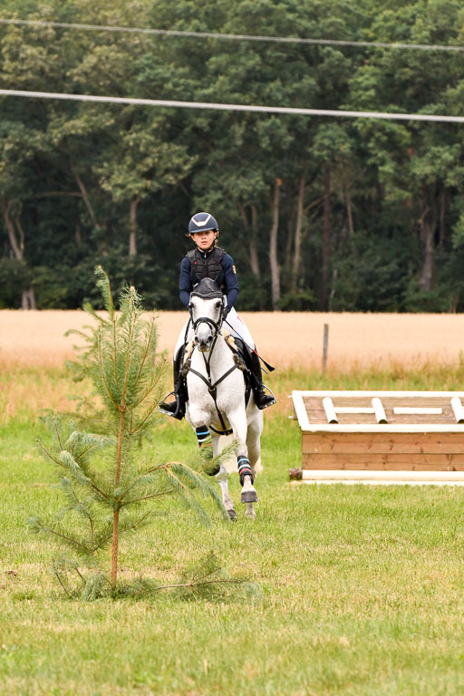 Goldene Schärpe Ponys in Hohenberg Krusemark 2024 | 13072024 Gelände 1 Abt_589 