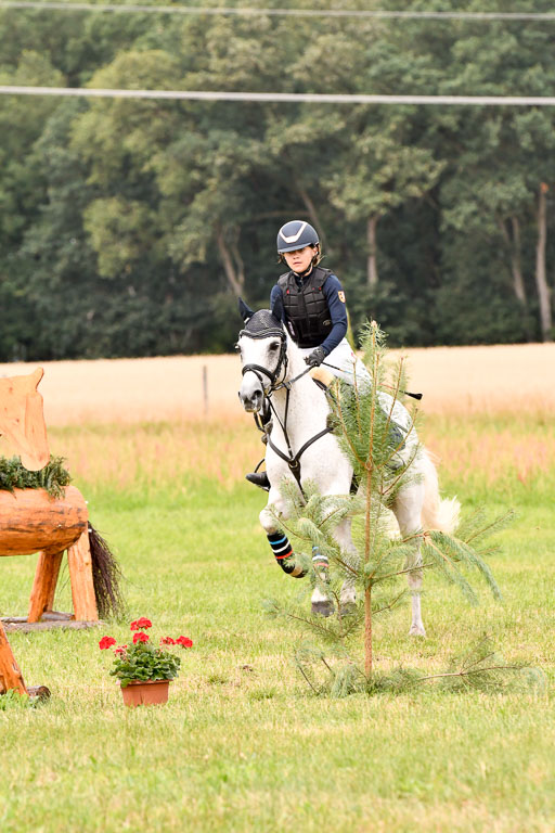Goldene Schärpe Ponys in Hohenberg Krusemark 2024 | 13072024 Gelände 1 Abt_590 