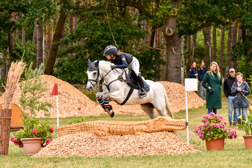 Goldene Schärpe Ponys in Hohenberg Krusemark 2024 | 13072024 Gelände 1 Abt_594 