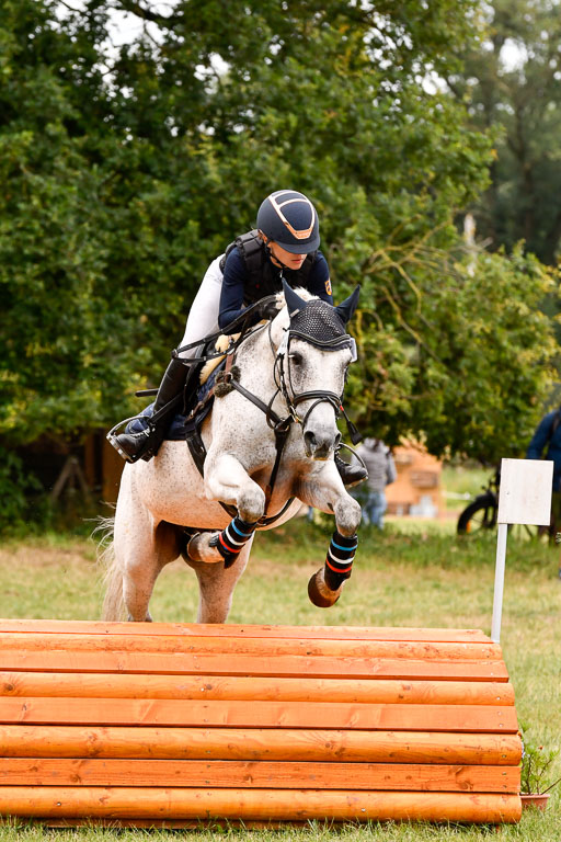 Goldene Schärpe Ponys in Hohenberg Krusemark 2024 | 13072024 Gelände 1 Abt_598 