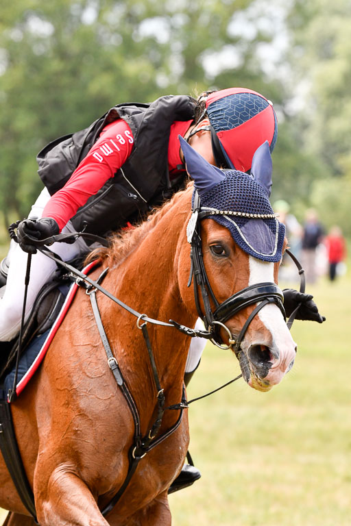 Goldene Schärpe Ponys in Hohenberg Krusemark 2024 | 13072024 Gelände 1 Abt_701 
