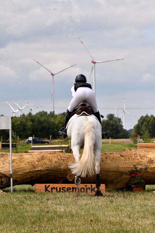 Goldene Schärpe Ponys in Hohenberg Krusemark 2024 | 13072024 Gelände 1 Abt_704 