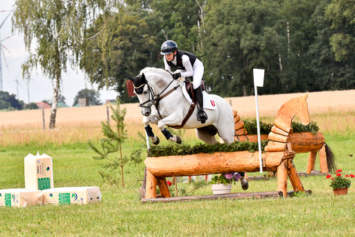 Goldene Schärpe Ponys in Hohenberg Krusemark 2024 | 13072024 Gelände 1 Abt_706 