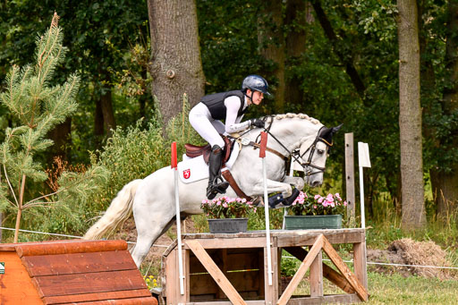 Goldene Schärpe Ponys in Hohenberg Krusemark 2024 | 13072024 Gelände 1 Abt_711 