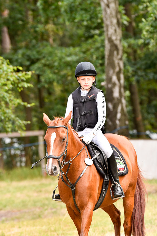 Goldene Schärpe Ponys in Hohenberg Krusemark 2024 | 13072024 Gelände 1 Abt_713 