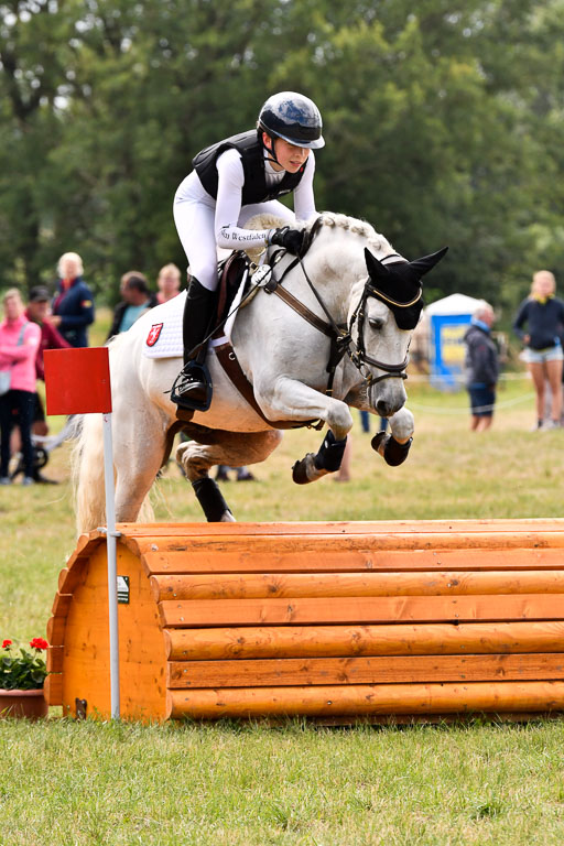 Goldene Schärpe Ponys in Hohenberg Krusemark 2024 | 13072024 Gelände 1 Abt_716 