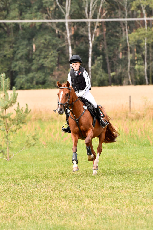 Goldene Schärpe Ponys in Hohenberg Krusemark 2024 | 13072024 Gelände 1 Abt_721 