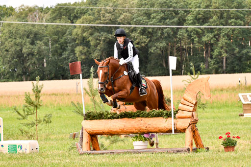 Goldene Schärpe Ponys in Hohenberg Krusemark 2024 | 13072024 Gelände 1 Abt_722 