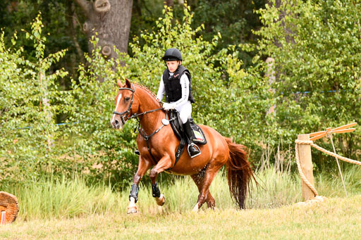 Goldene Schärpe Ponys in Hohenberg Krusemark 2024 | 13072024 Gelände 1 Abt_723 