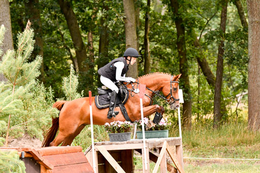Goldene Schärpe Ponys in Hohenberg Krusemark 2024 | 13072024 Gelände 1 Abt_725 