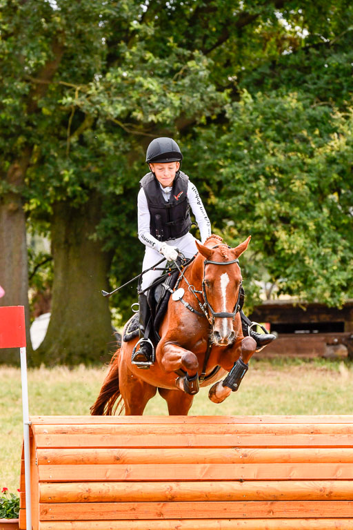 Goldene Schärpe Ponys in Hohenberg Krusemark 2024 | 13072024 Gelände 1 Abt_726 