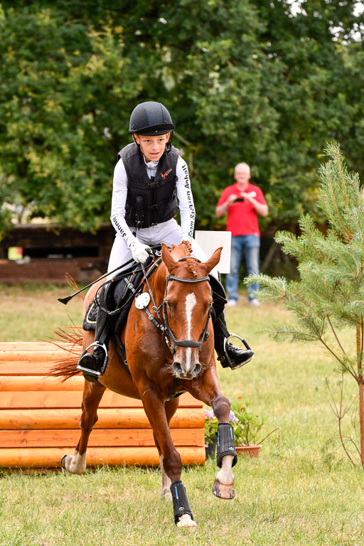 Goldene Schärpe Ponys in Hohenberg Krusemark 2024 | 13072024 Gelände 1 Abt_728 