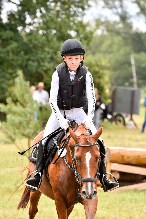 Goldene Schärpe Ponys in Hohenberg Krusemark 2024 | 13072024 Gelände 1 Abt_731 