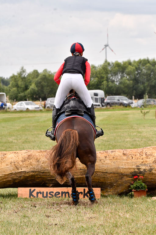 Goldene Schärpe Ponys in Hohenberg Krusemark 2024 | 13072024 Gelände 1 Abt_732 