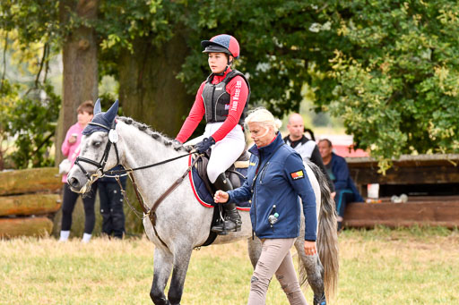 Goldene Schärpe Ponys in Hohenberg Krusemark 2024 | 13072024 Gelände 1 Abt_733 