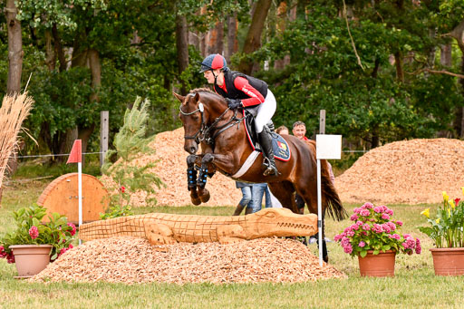 Goldene Schärpe Ponys in Hohenberg Krusemark 2024 | 13072024 Gelände 1 Abt_737 