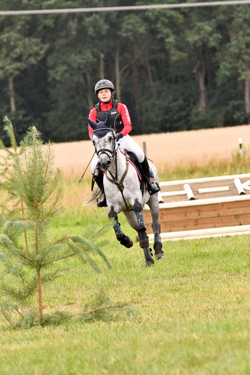 Goldene Schärpe Ponys in Hohenberg Krusemark 2024 | 13072024 Gelände 1 Abt_748 