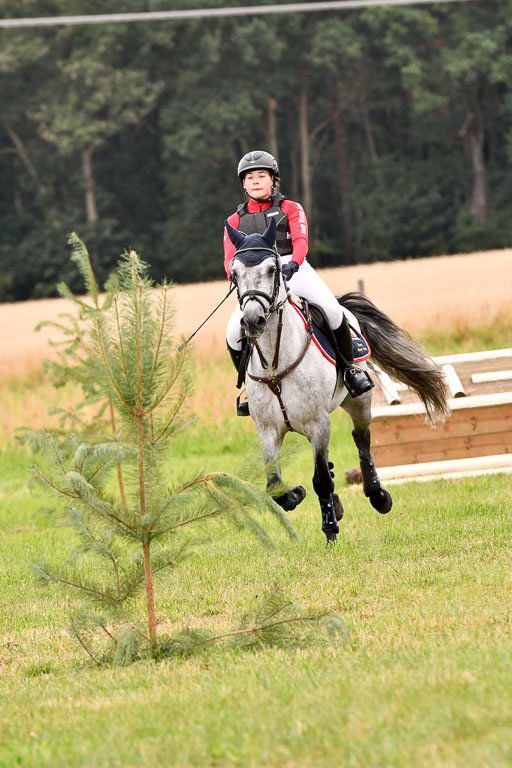 Goldene Schärpe Ponys in Hohenberg Krusemark 2024 | 13072024 Gelände 1 Abt_749 
