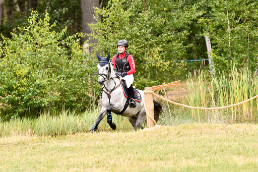 Goldene Schärpe Ponys in Hohenberg Krusemark 2024 | 13072024 Gelände 1 Abt_751 