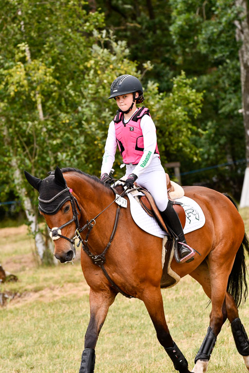 Goldene Schärpe Ponys in Hohenberg Krusemark 2024 | 13072024 Gelände 1 Abt_754 