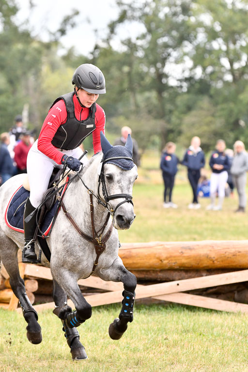 Goldene Schärpe Ponys in Hohenberg Krusemark 2024 | 13072024 Gelände 1 Abt_757 