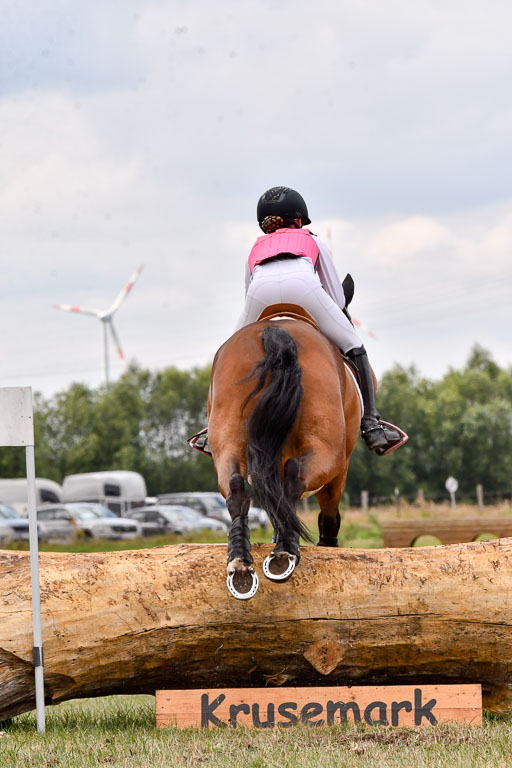 Goldene Schärpe Ponys in Hohenberg Krusemark 2024 | 13072024 Gelände 1 Abt_762 