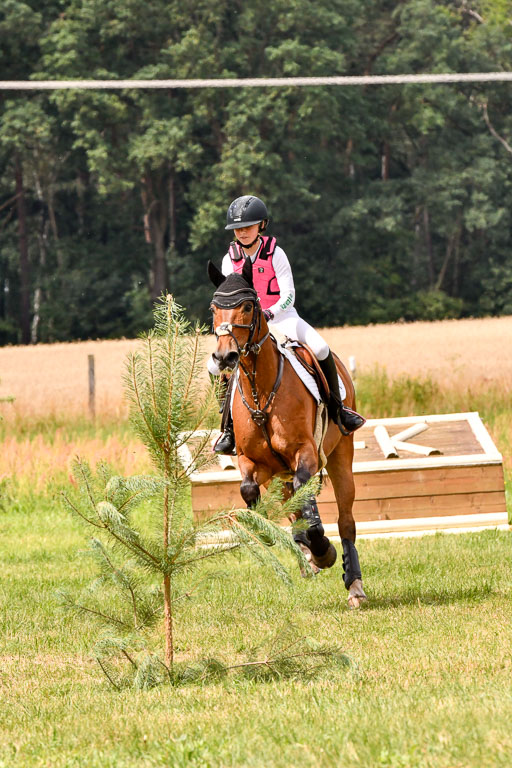 Goldene Schärpe Ponys in Hohenberg Krusemark 2024 | 13072024 Gelände 1 Abt_764 