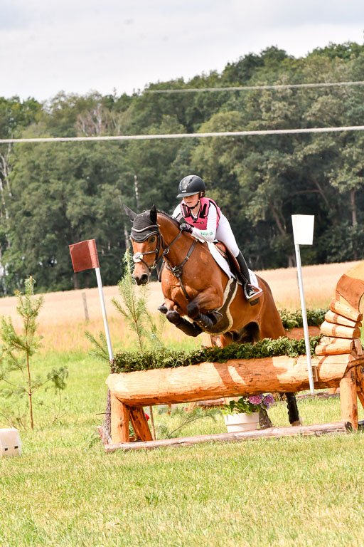 Goldene Schärpe Ponys in Hohenberg Krusemark 2024 | 13072024 Gelände 1 Abt_765 