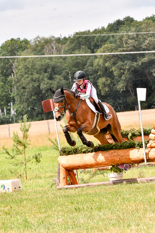 Goldene Schärpe Ponys in Hohenberg Krusemark 2024 | 13072024 Gelände 1 Abt_766 