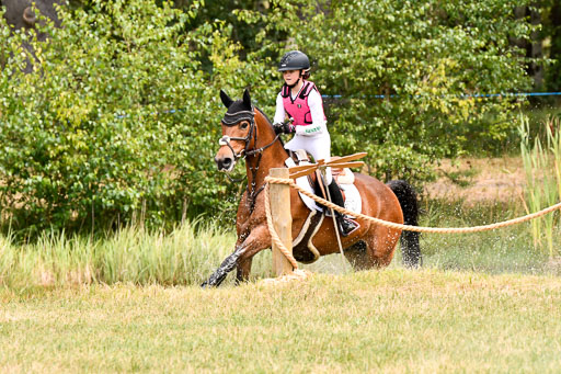 Goldene Schärpe Ponys in Hohenberg Krusemark 2024 | 13072024 Gelände 1 Abt_770 