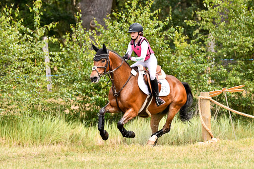 Goldene Schärpe Ponys in Hohenberg Krusemark 2024 | 13072024 Gelände 1 Abt_771 