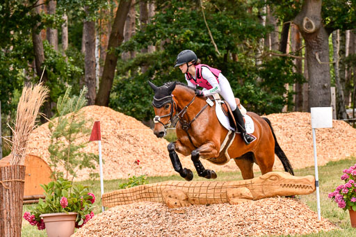 Goldene Schärpe Ponys in Hohenberg Krusemark 2024 | 13072024 Gelände 1 Abt_773 